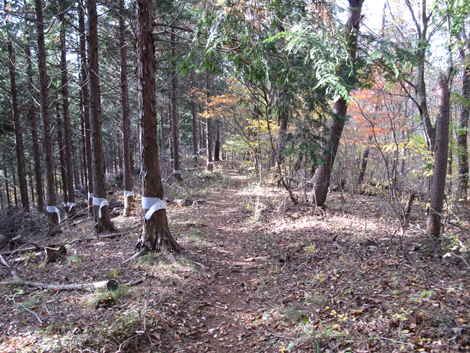 20161117hike (178)
